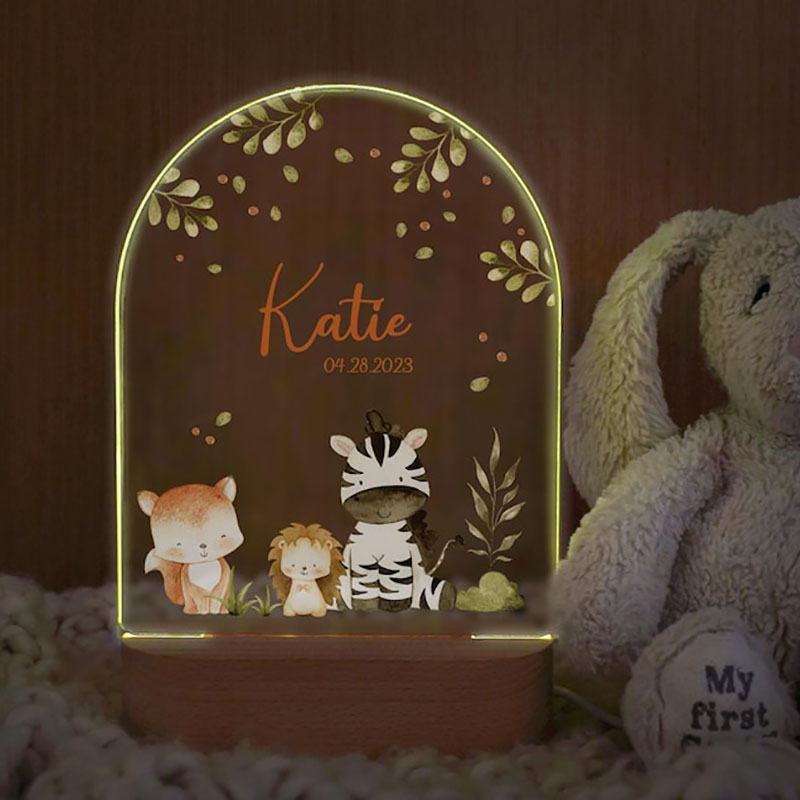Custom Name Baby Night Light P - Baby Nursery Egg Light review and price